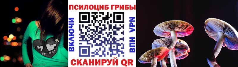 где можно купить наркотик  hydra tor  Галлюциногенные грибы Psilocybine cubensis  Давлеканово 